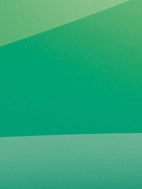 5803 leaf palmkarim rashid