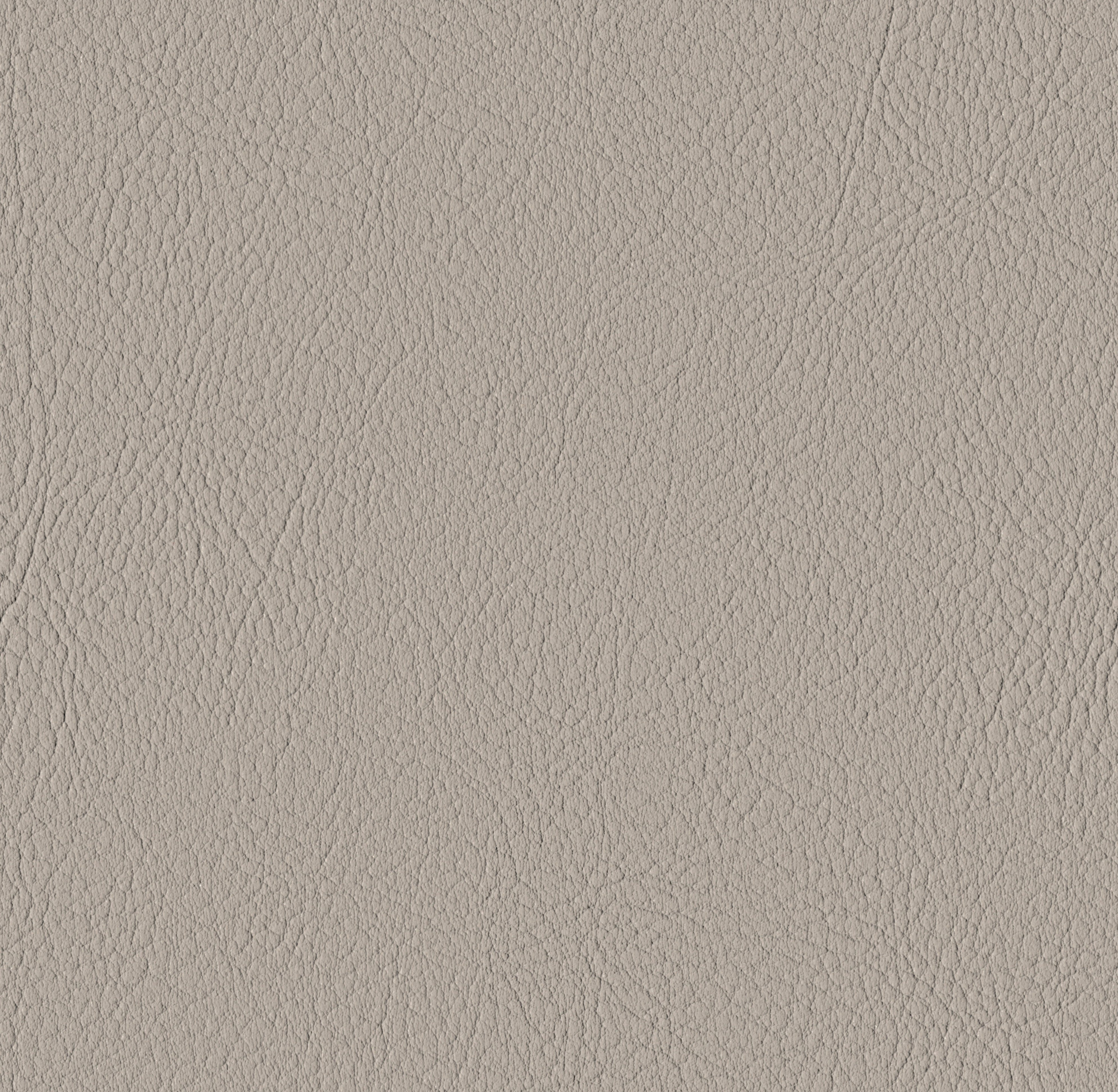 Tileable image - Fungi