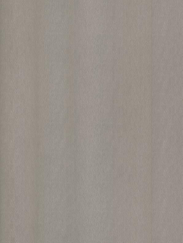 NE51 Champagne Silver