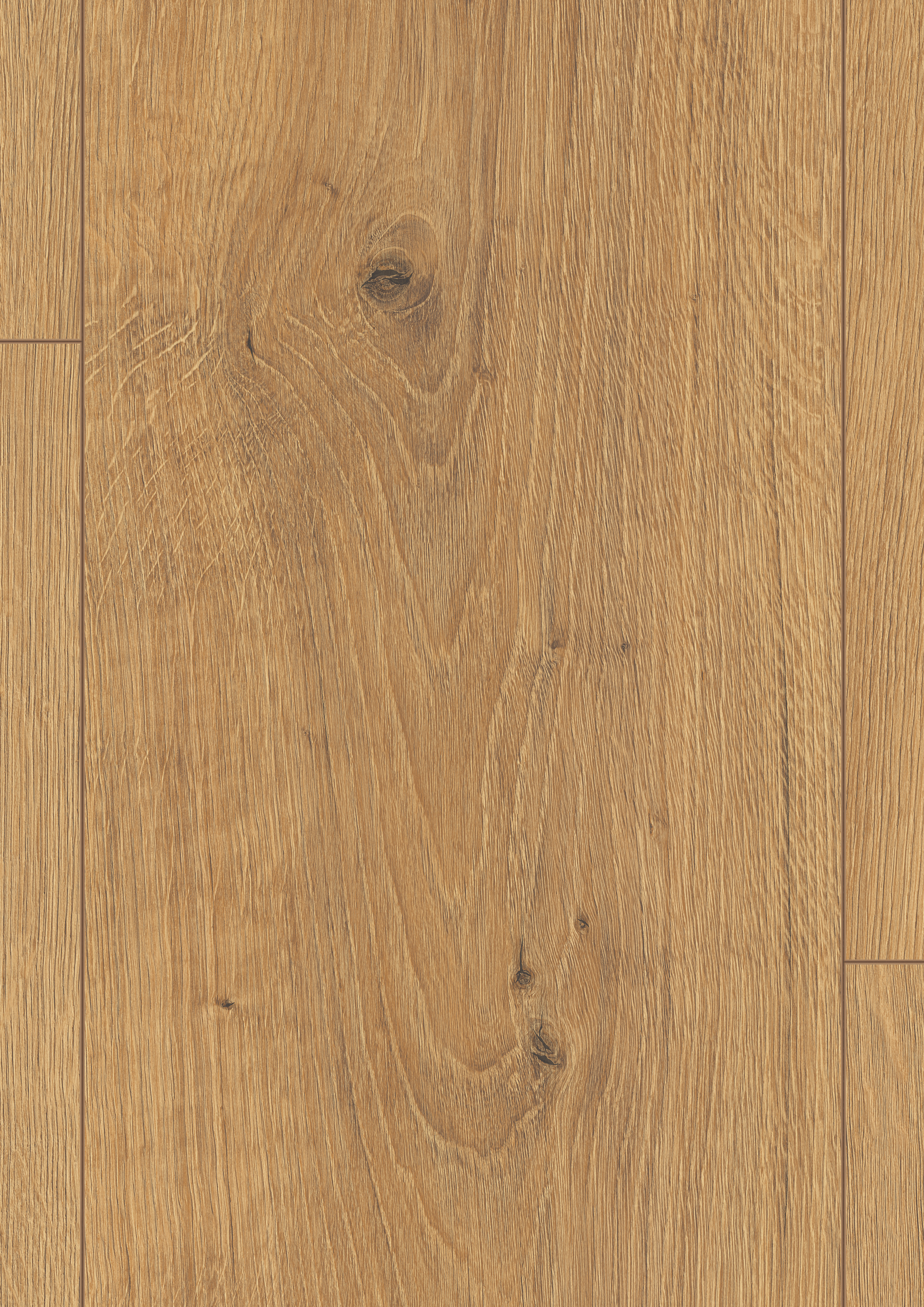 EL2137_STF6_long_wv4_detail_10DE_flo