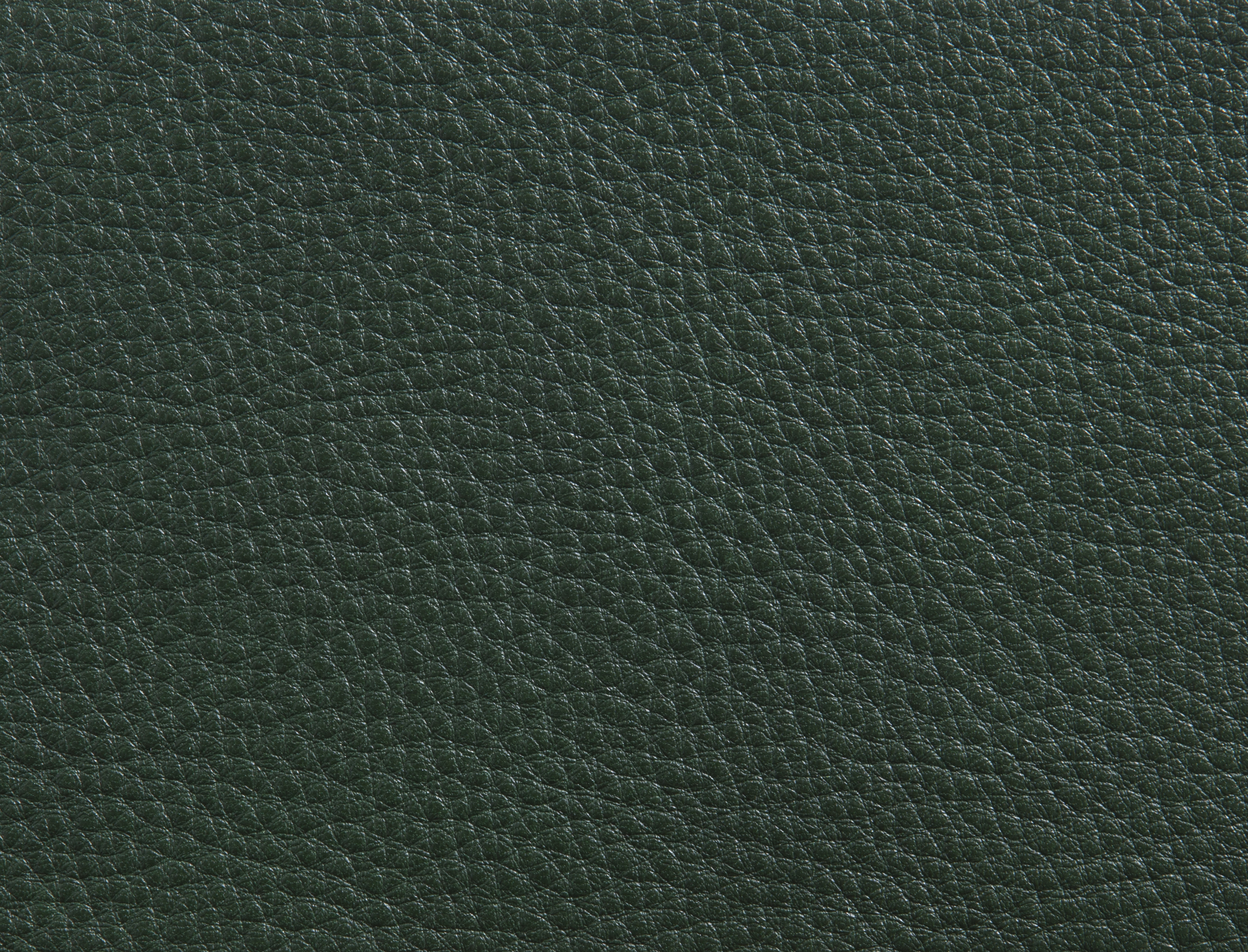 ElmorusticalVIII_88010