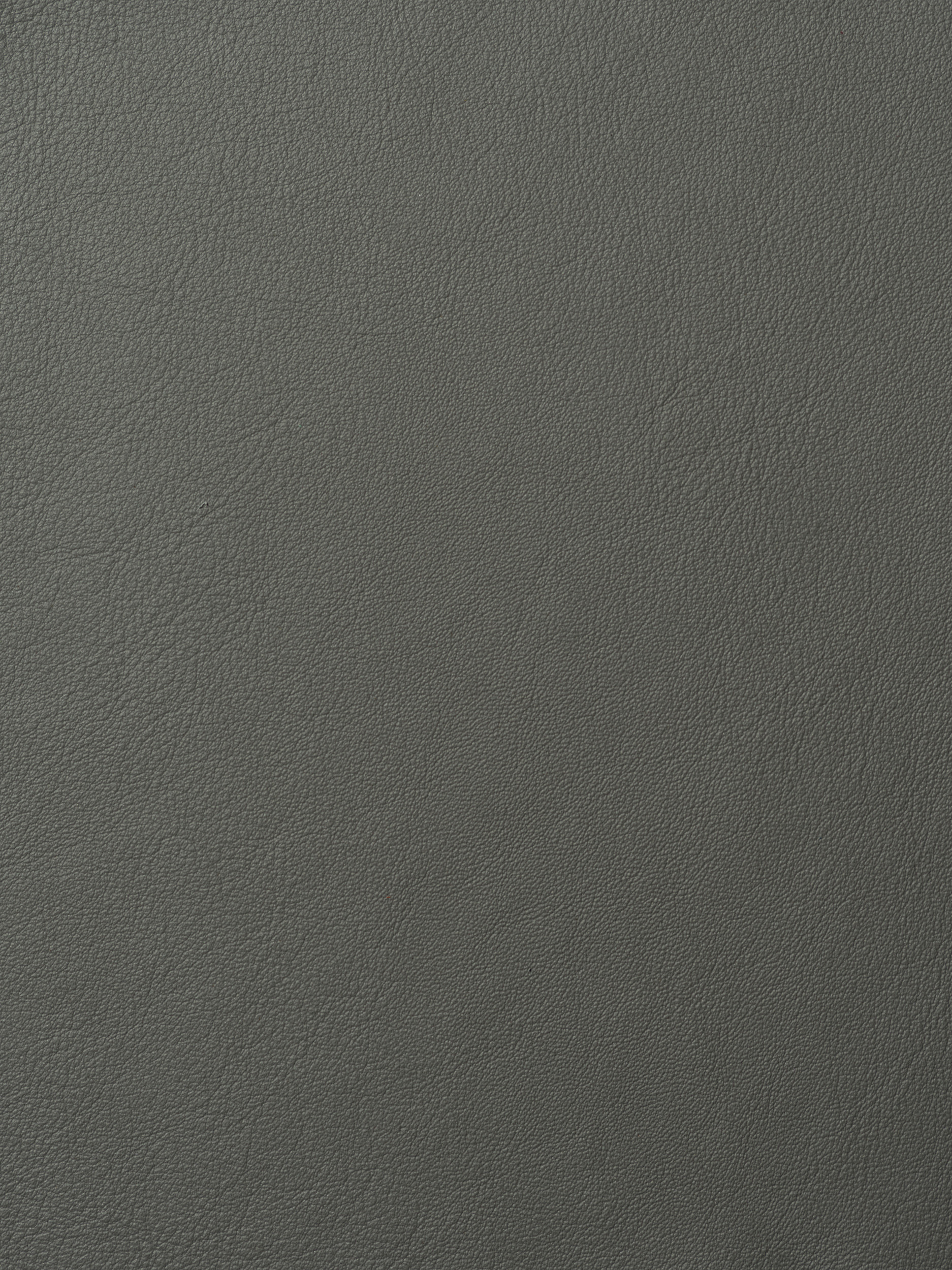 ELMOLEATHER_ELMOSOFT_11062