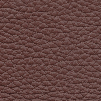 montaigne-chataigne-s