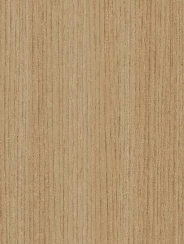 CT97 - Almond Palm Tree