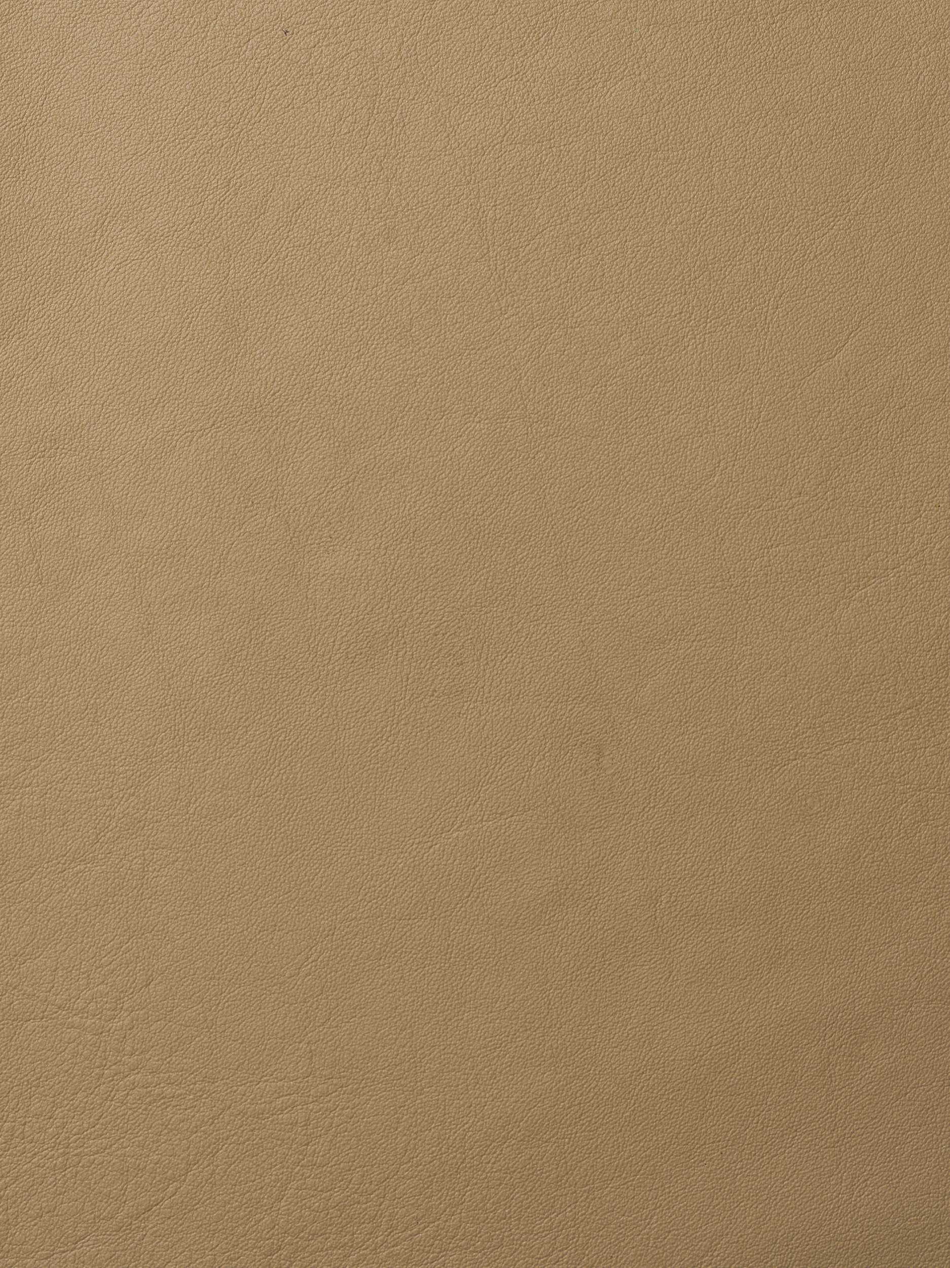 ELMOLEATHER_ELMOSOFT_03009