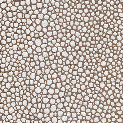 madeleine-taupeblanc-s