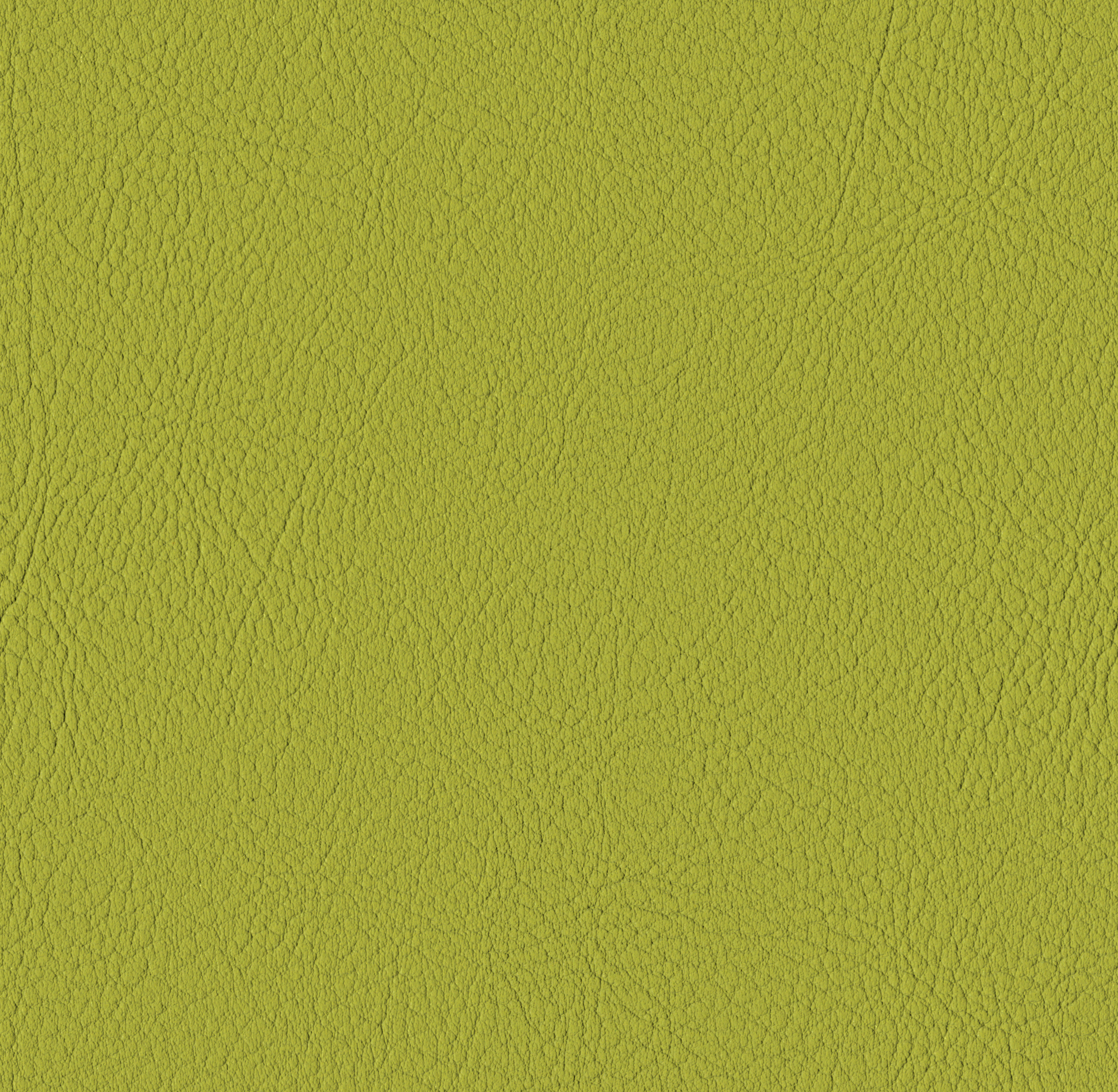 Tileable image - Avocado