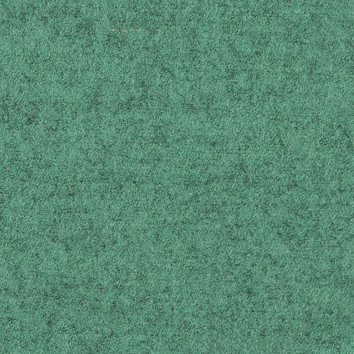 focus_melange_screen_68434