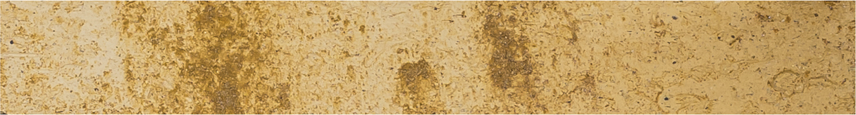 2025_RM_Brut-de-Four_Tenere