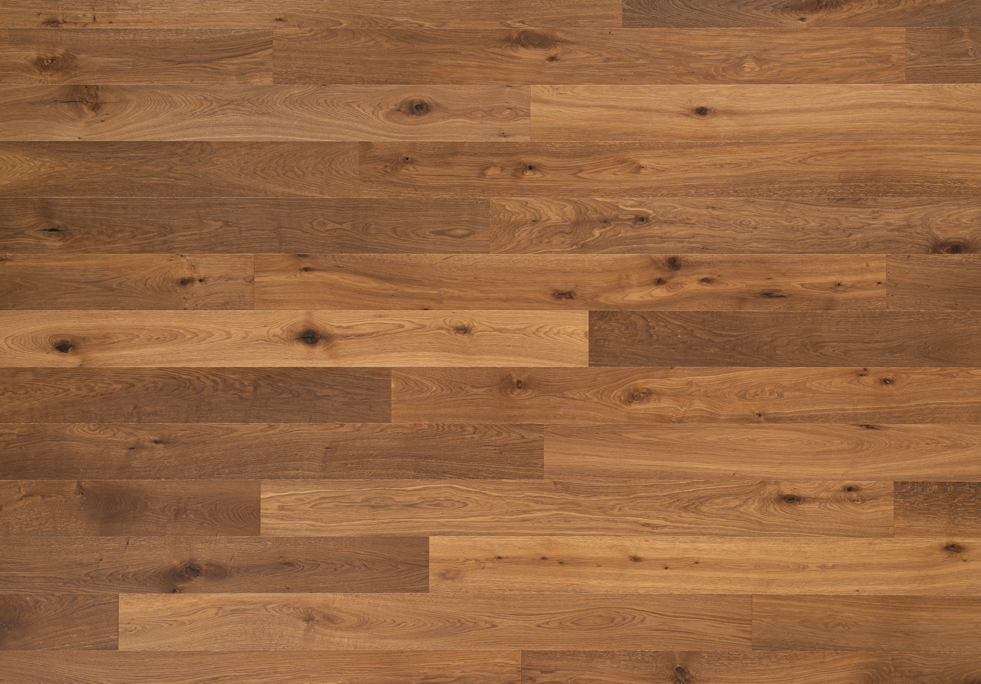 LG-Classica-Michelangelo-Alpaca-Zenit