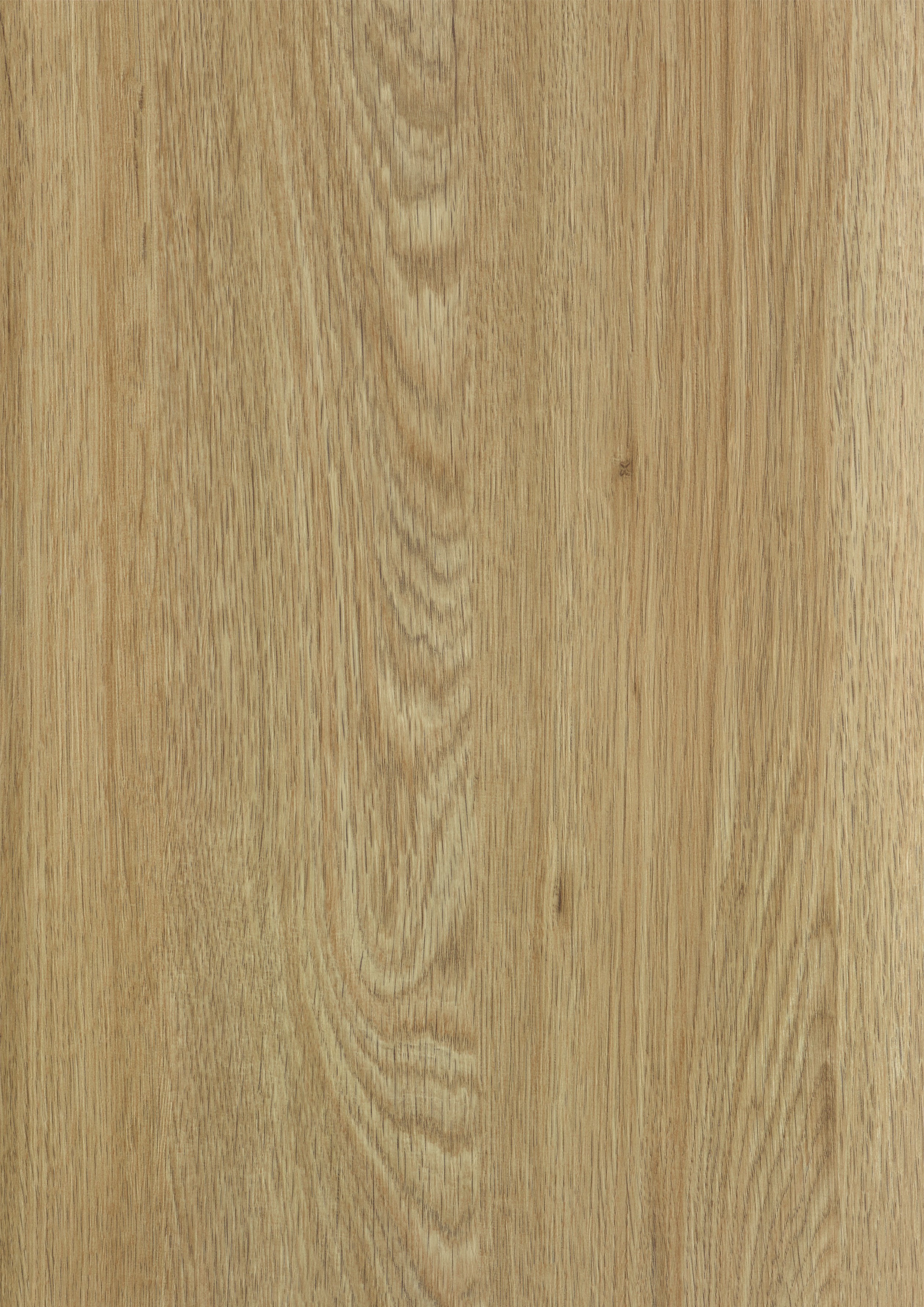Coriander Oak (Bois naturel/Ultramat)