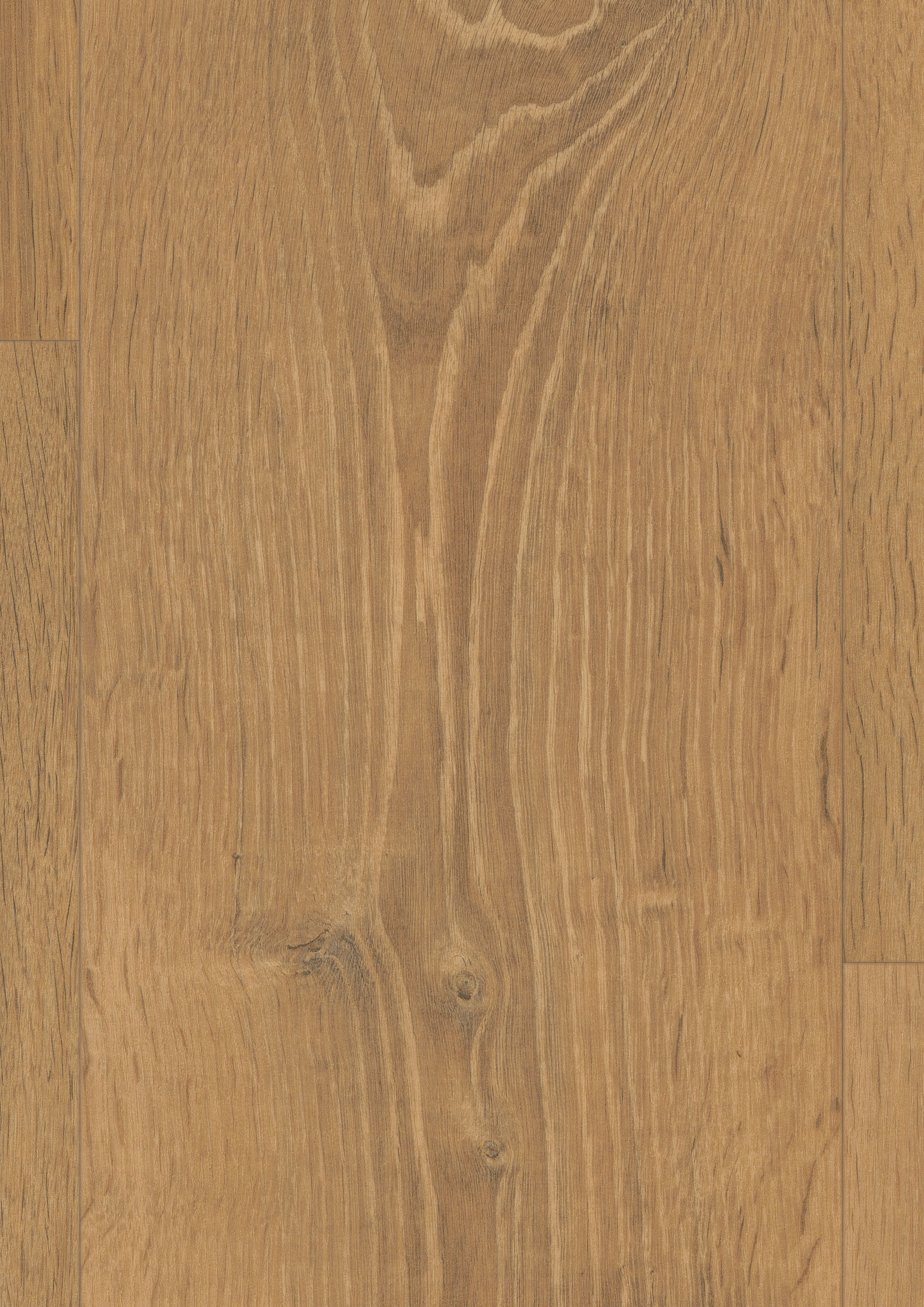 EDF173_STD8_large_wv4_detail_10DE_flo