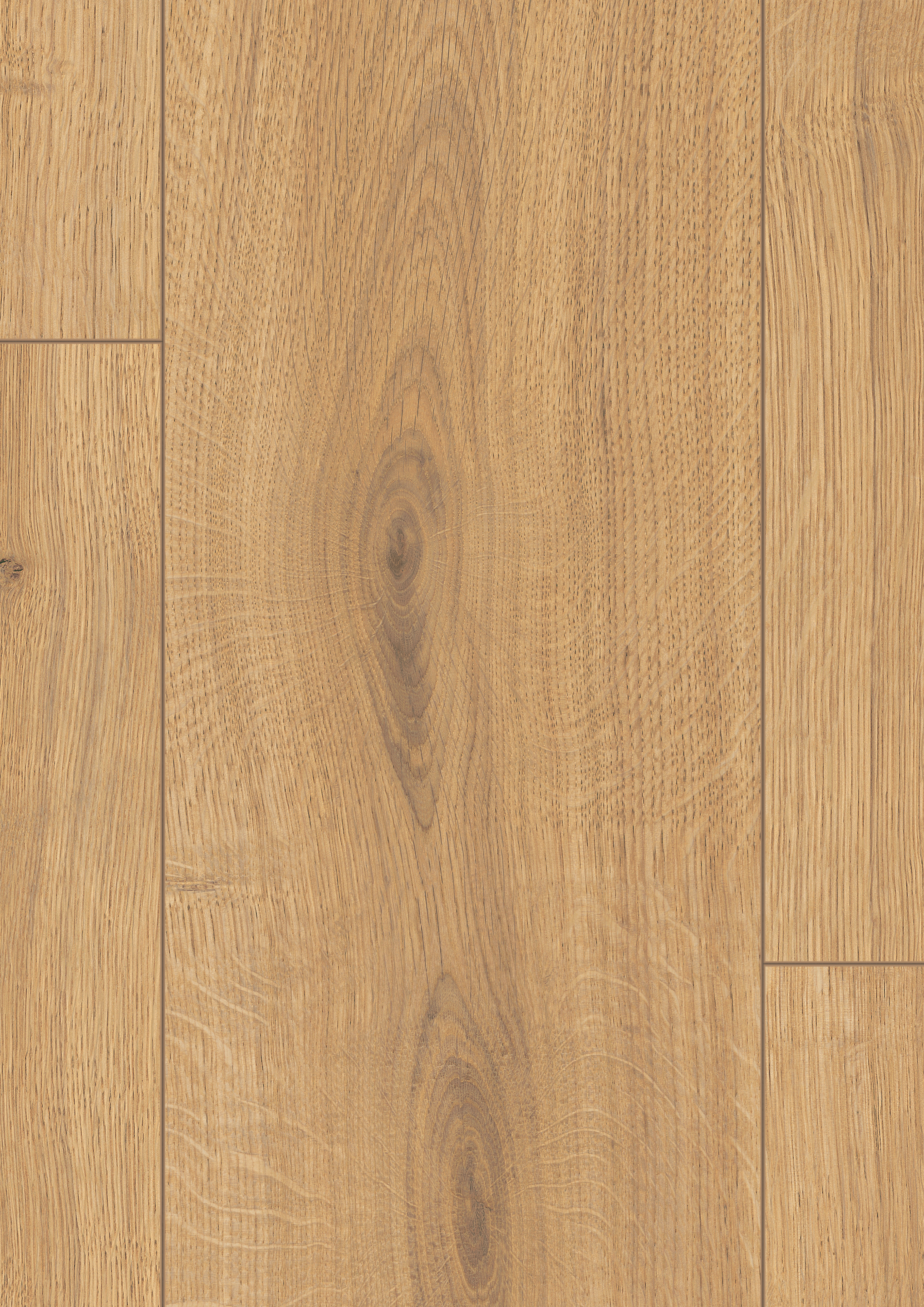 EL2009_STF1_classic_wv4_detail_10DE_flo