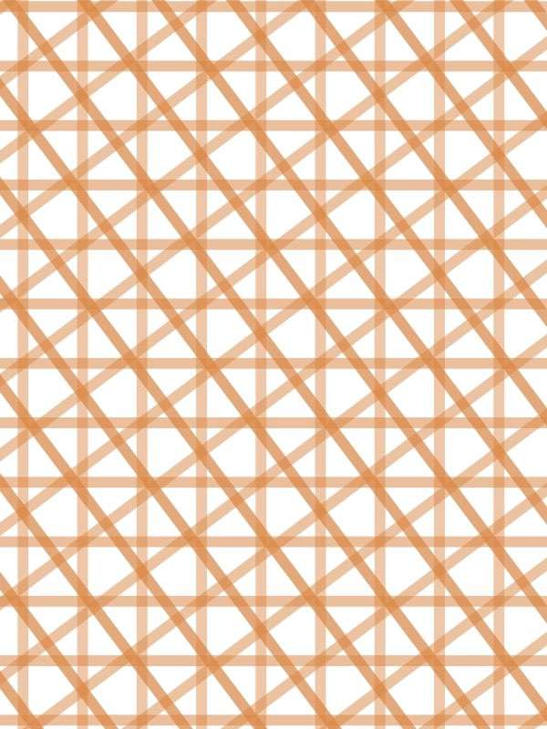 6414 mono orange medium