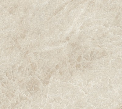 AtlasConcorde_MarvelDiva_TajMahalField_Wall_Macro