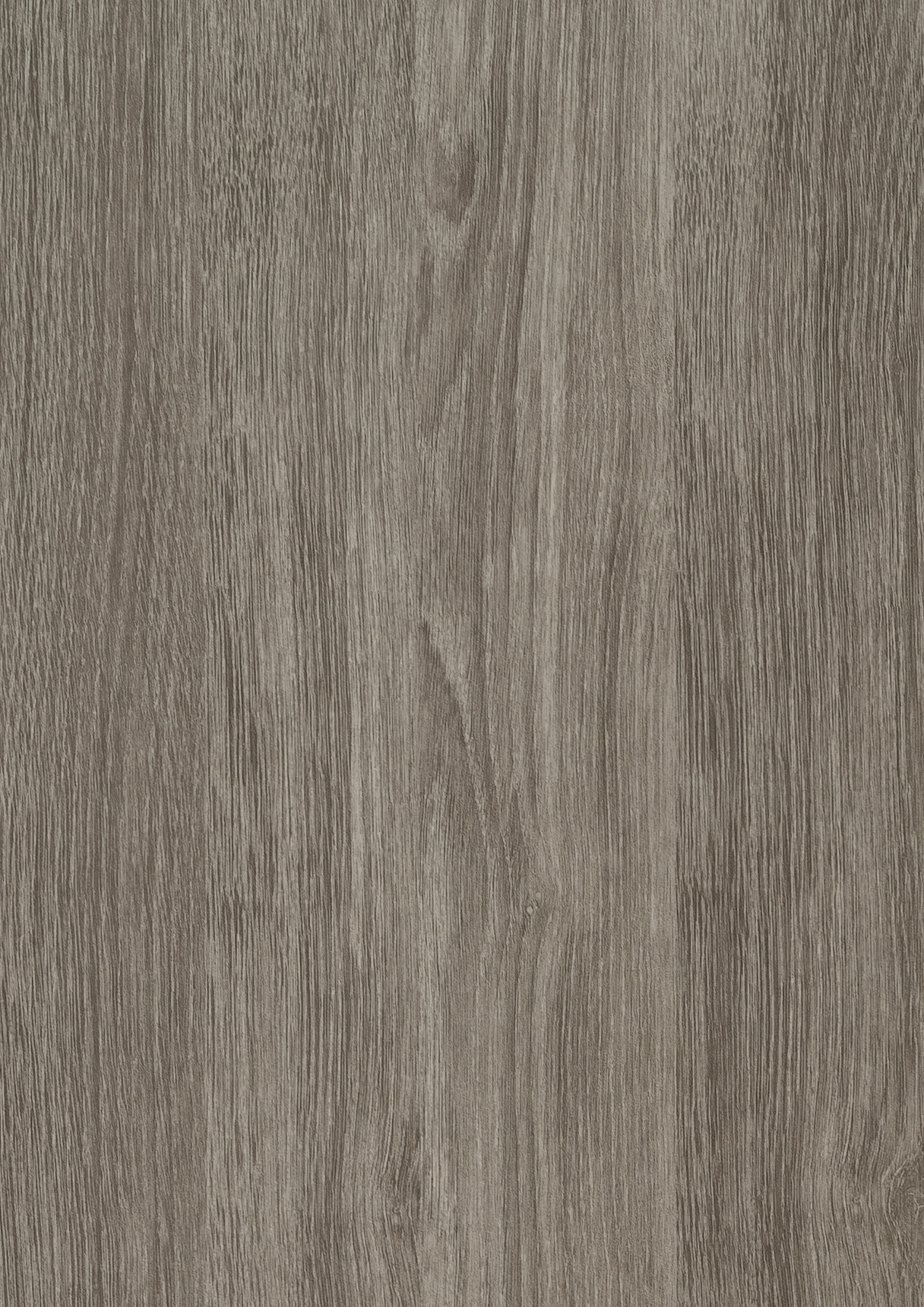 Sheffield Oak Grey (Bois naturel)