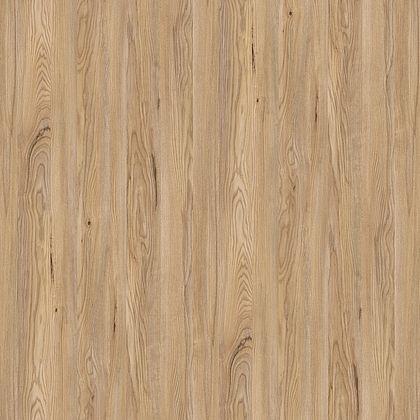 csm_IM0020659_7205871fbb