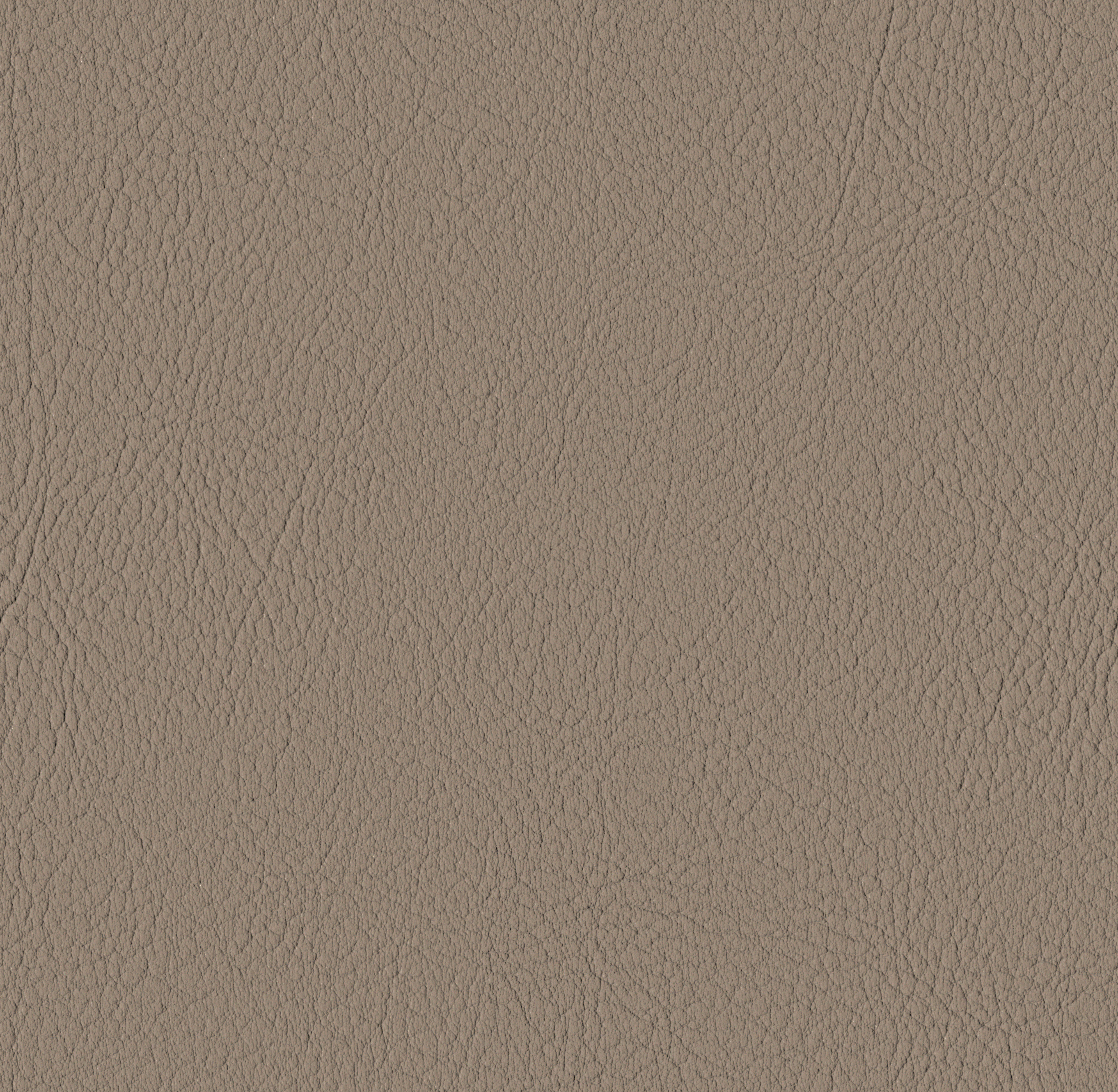 Tileable image - Taupe