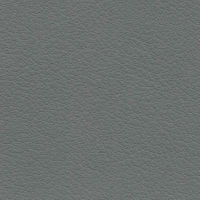 vaugirard-elephant-s