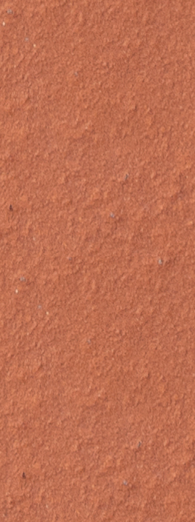 Alphaton_Orange_orange_gross