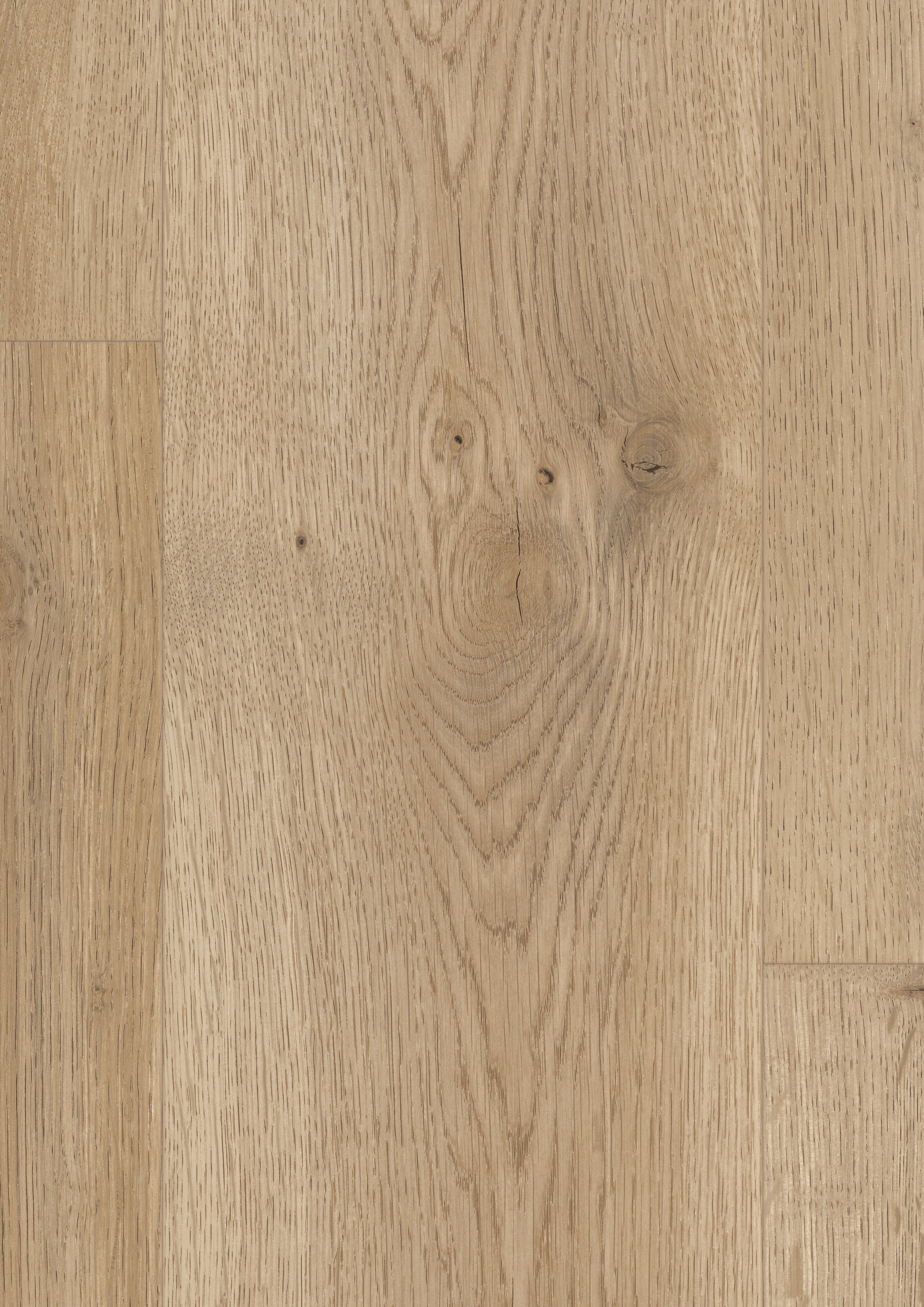 EDF191_STD8_classic_wv4_detail_10DE_flo