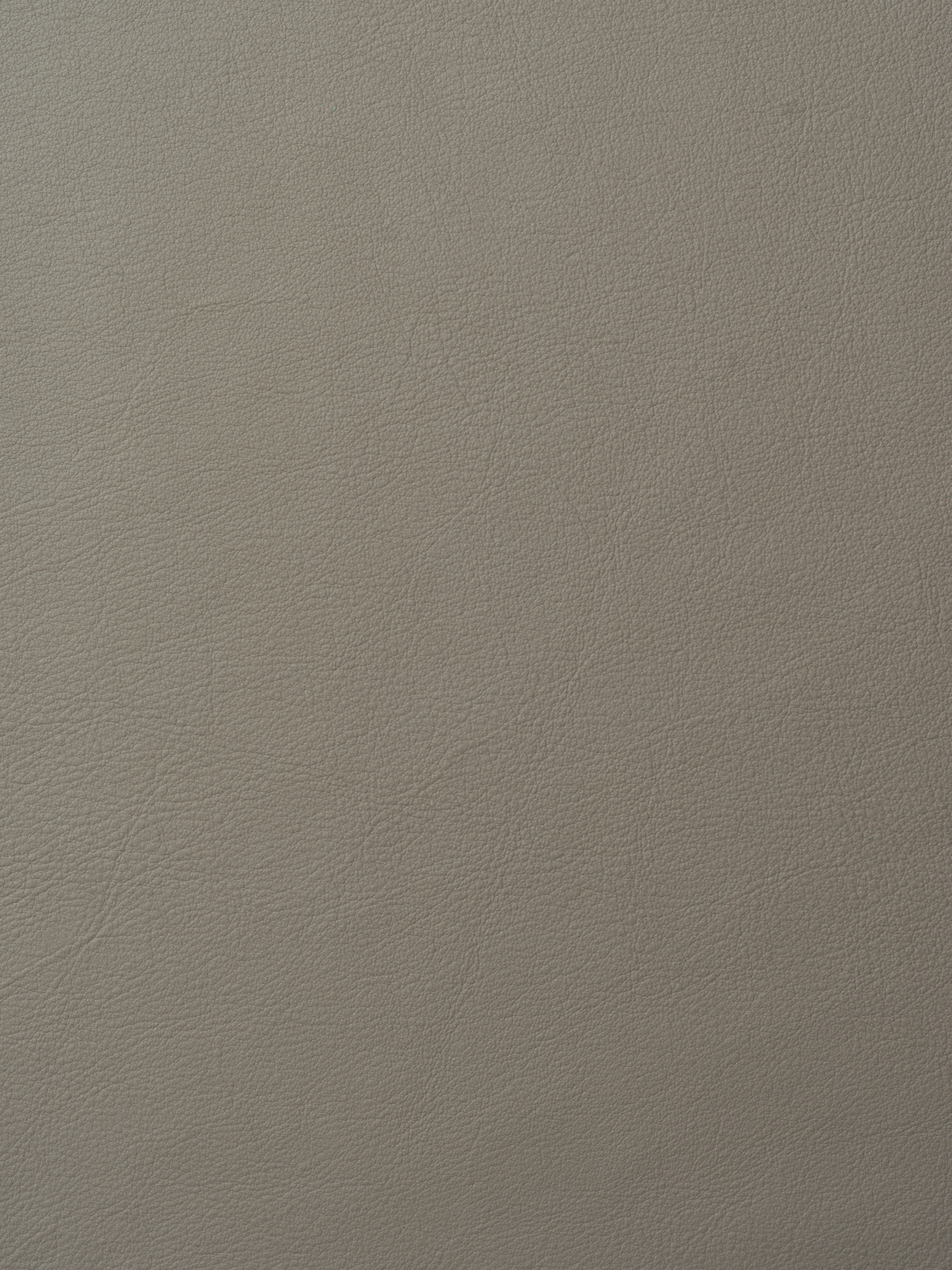 ELMOLEATHER_ELMOSOFT_16018