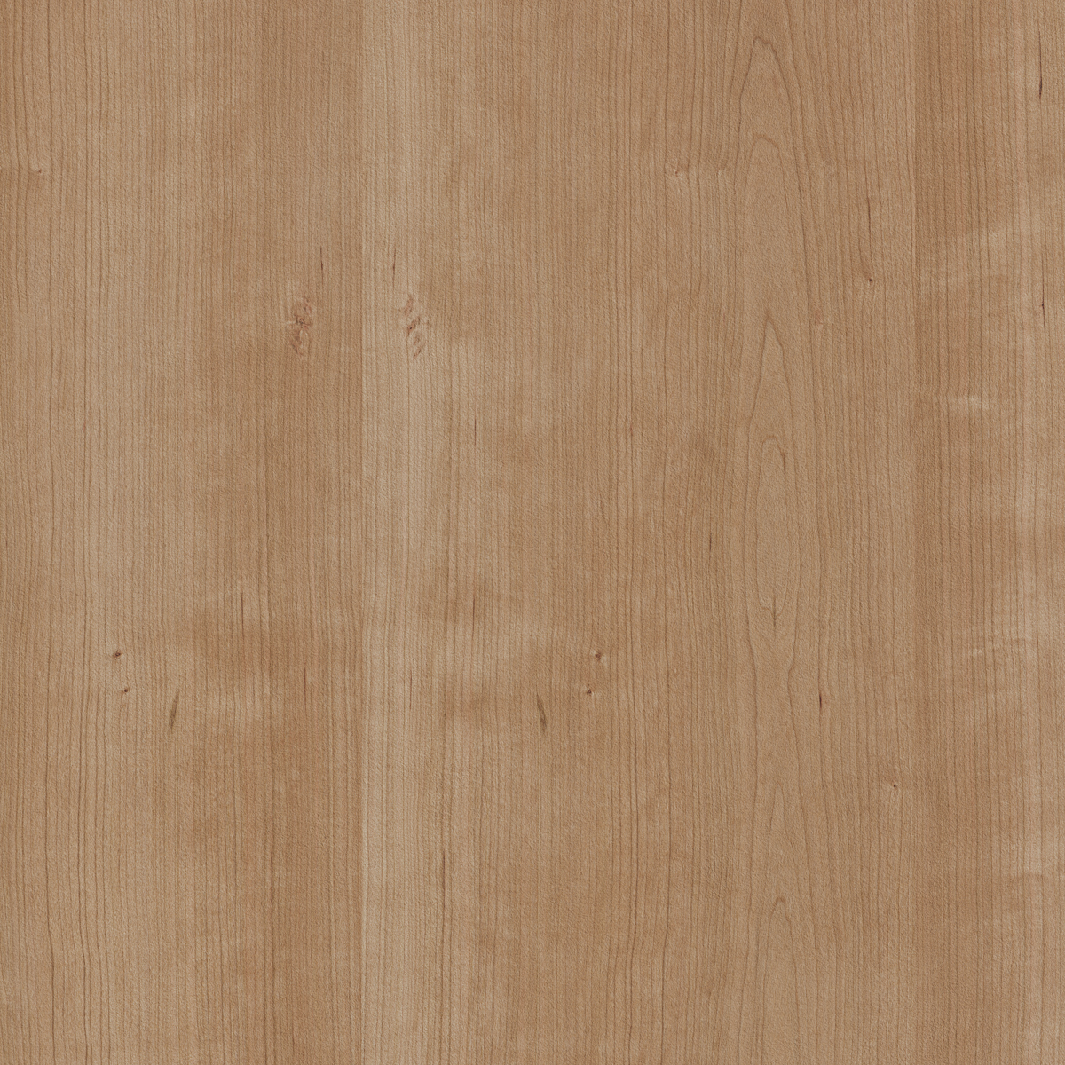 Zintra-Swatches-Cherry