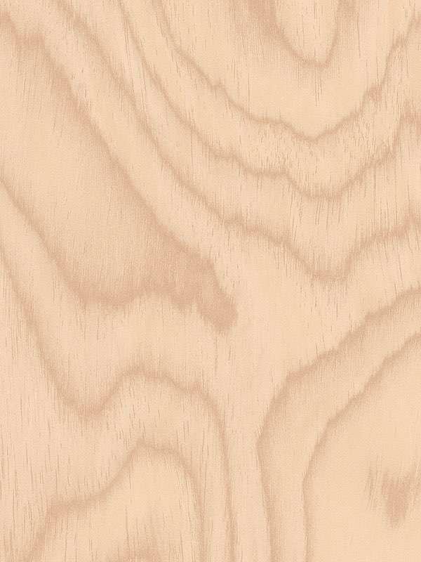 1968 betulla nordica