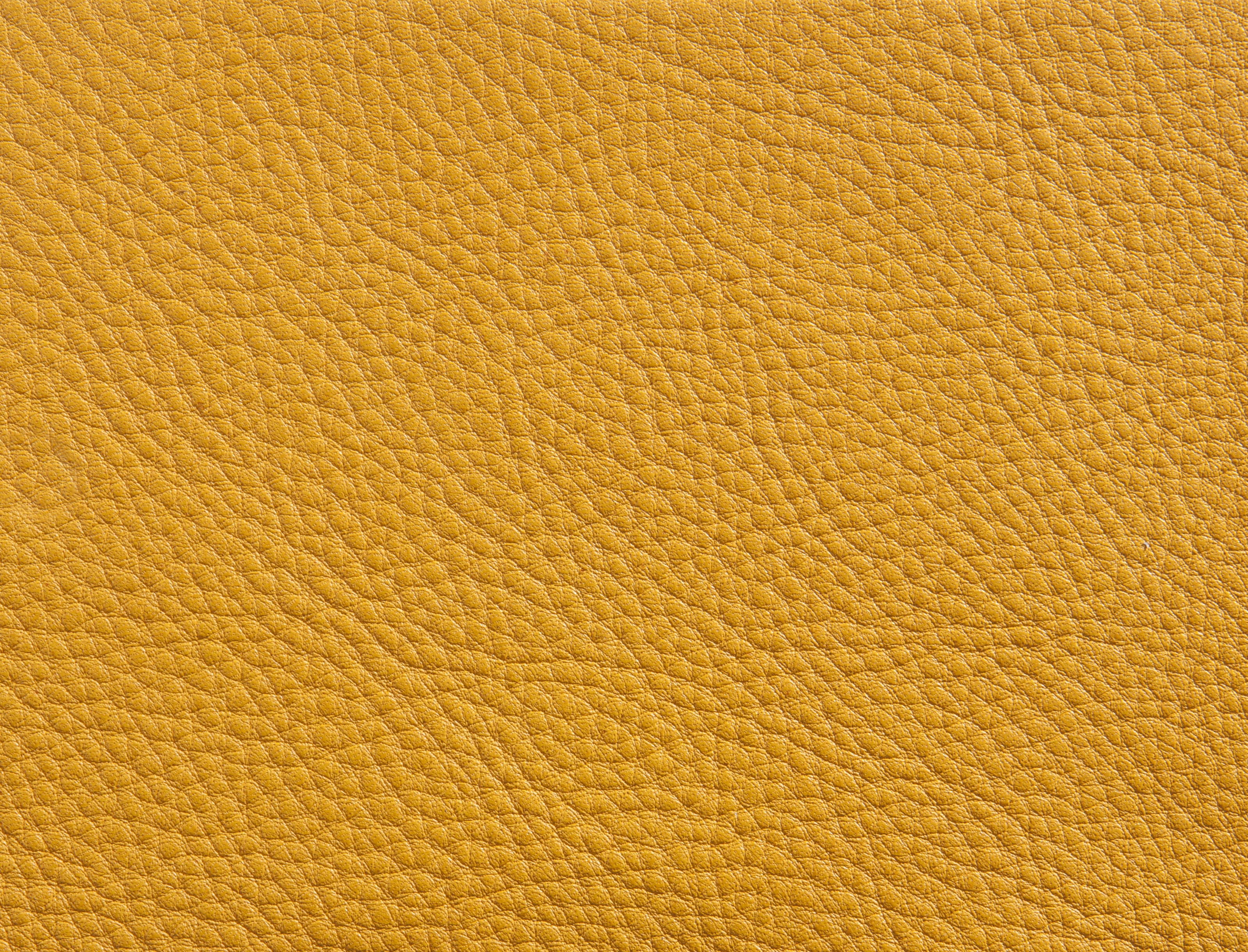 ElmorusticalVIII_44007