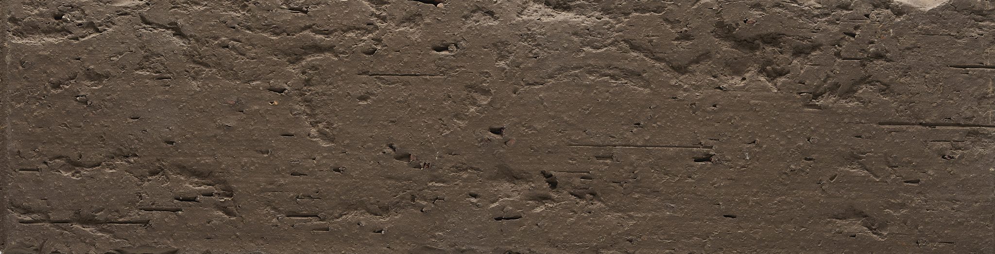 2025_RM_Caractere_Reglisse-0-2048x524