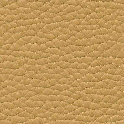 montaigne-moutarde-s