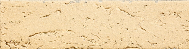 TCN_COLISEE_101-Antares