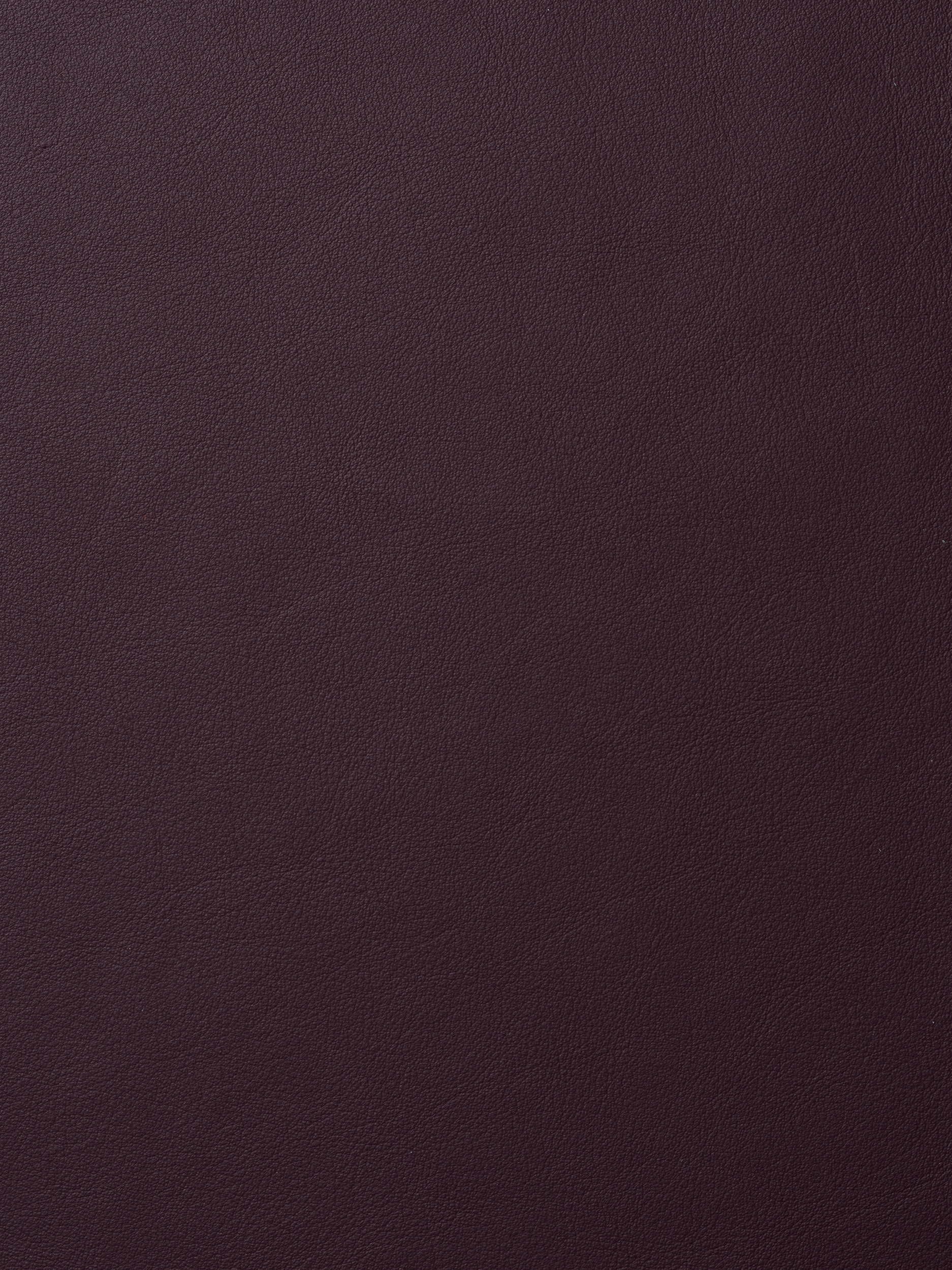 ELMOLEATHER_ELMOSOFT_75013