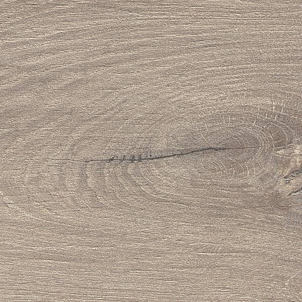 fap_roots_2021_taupe_R9_20X120_fPVO_01_hr-thumbnail-600x600-70