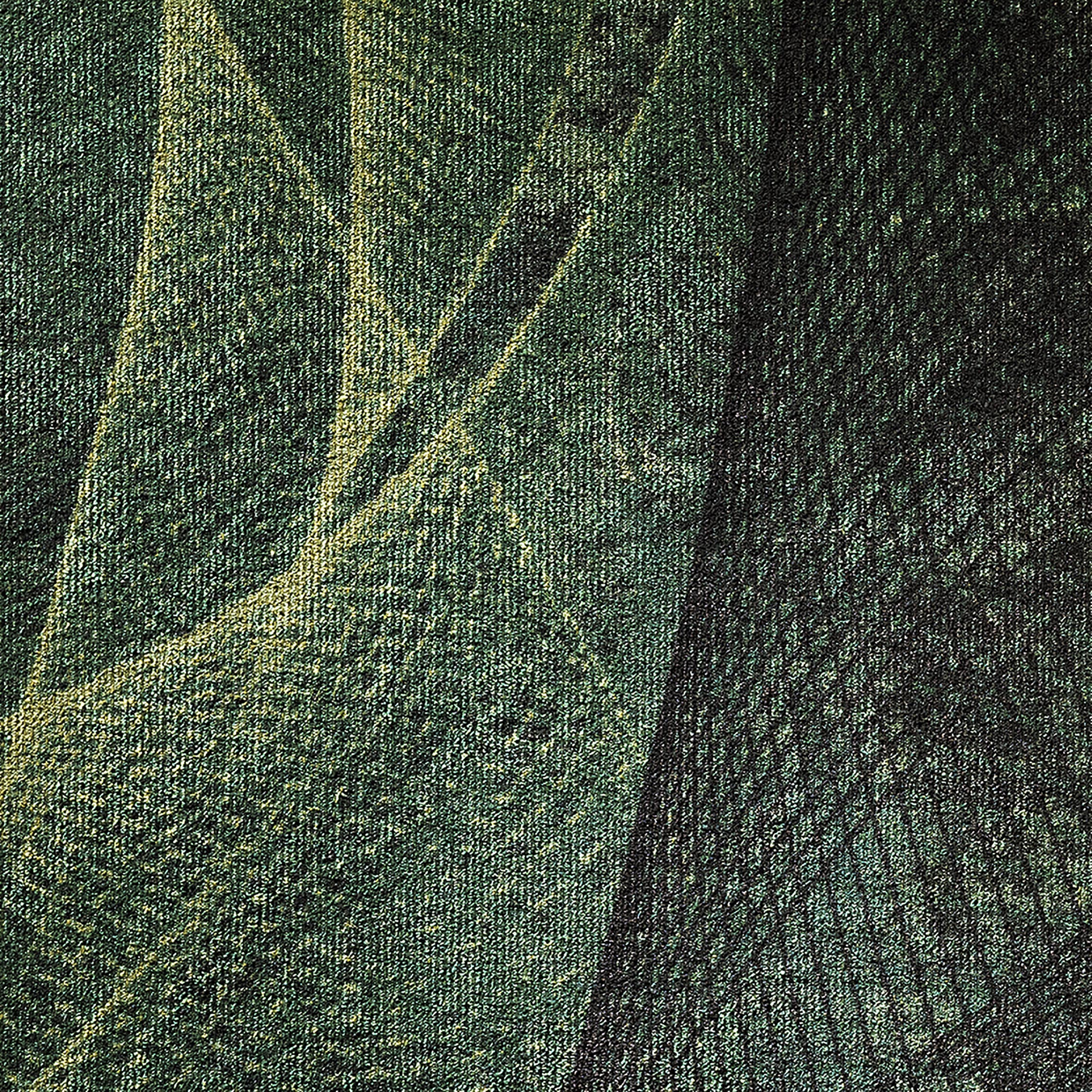 7135330 - Net Broken Green