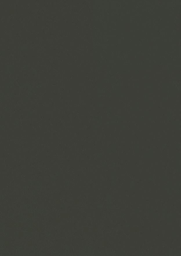 Gris Terre d'Ombre RAL 7022 (Lisse)