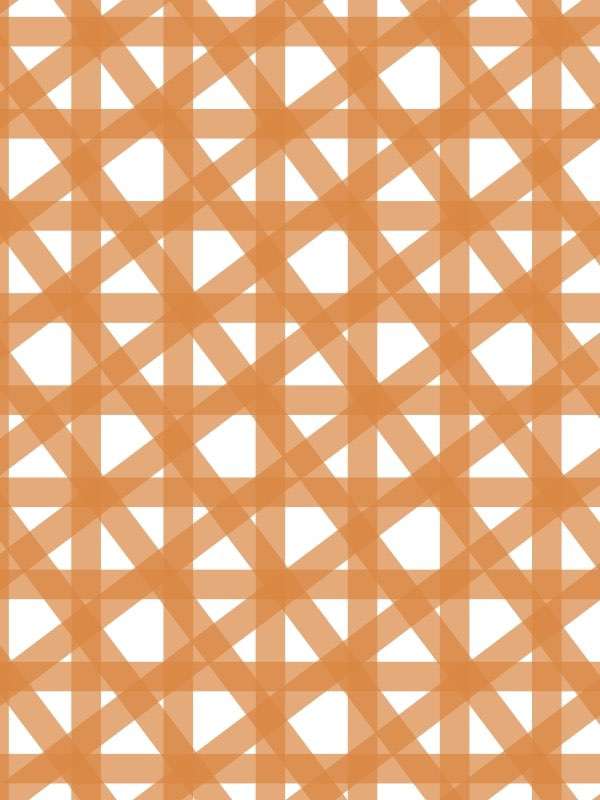 6413 mono orange bold