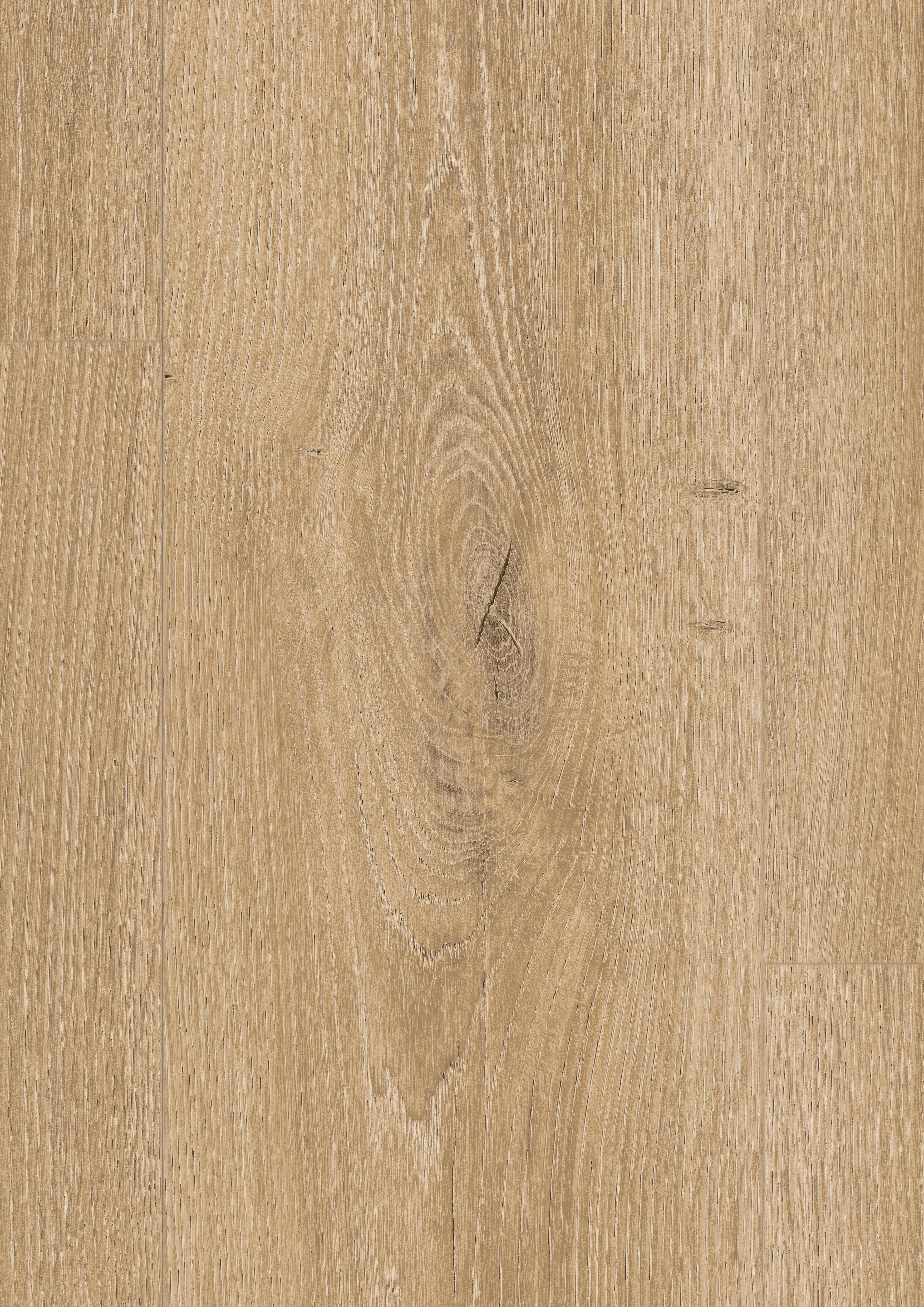 EDF195_STD8_classic_wv4_detail_10DE_flo