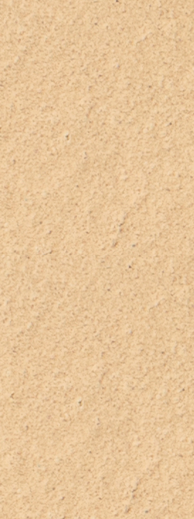 Alphaton_Safran_saffron-gross