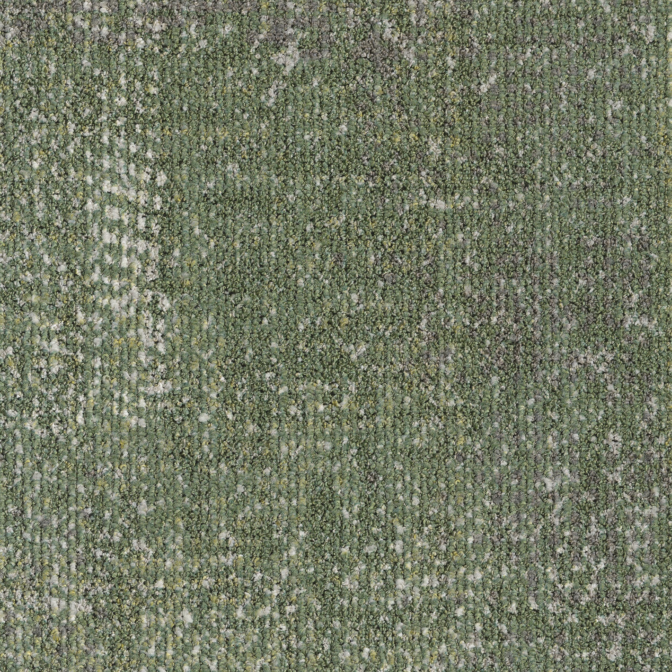 0865064 - Fibre Green 5500