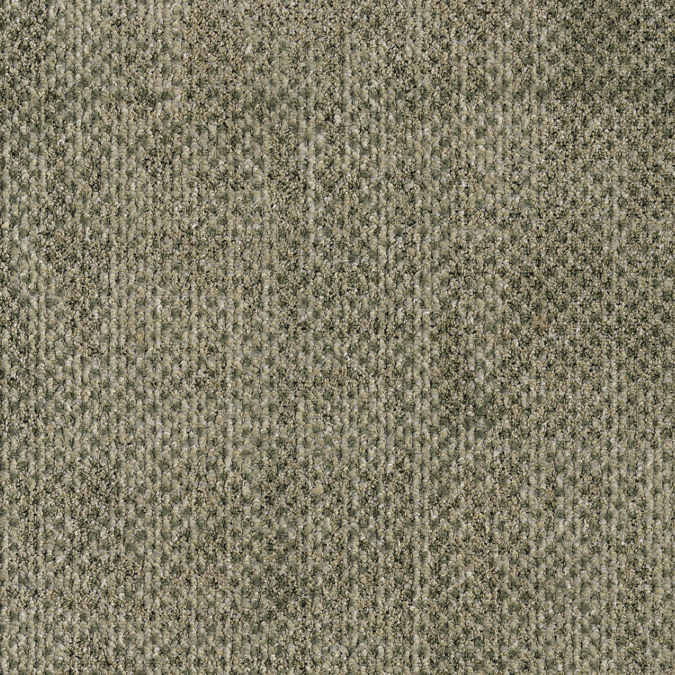 0865023 - Seed Light Green 5595