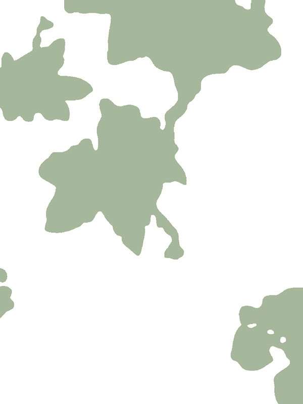 2832 ivypaola navone