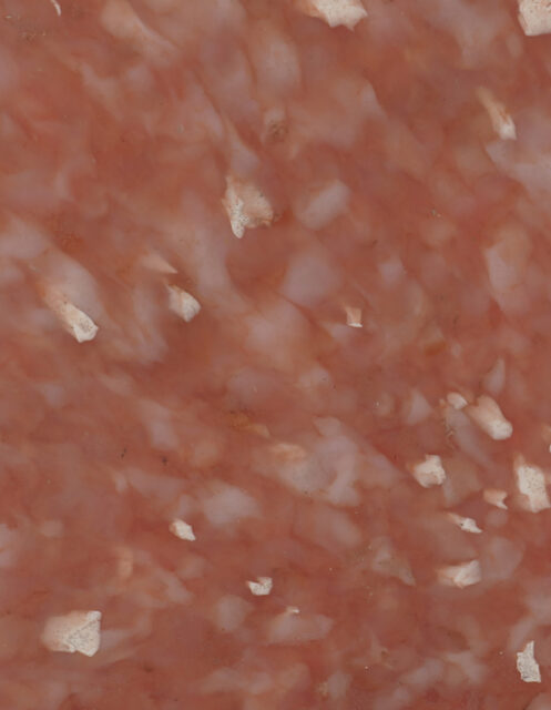 Salmon Terra
#PS2121