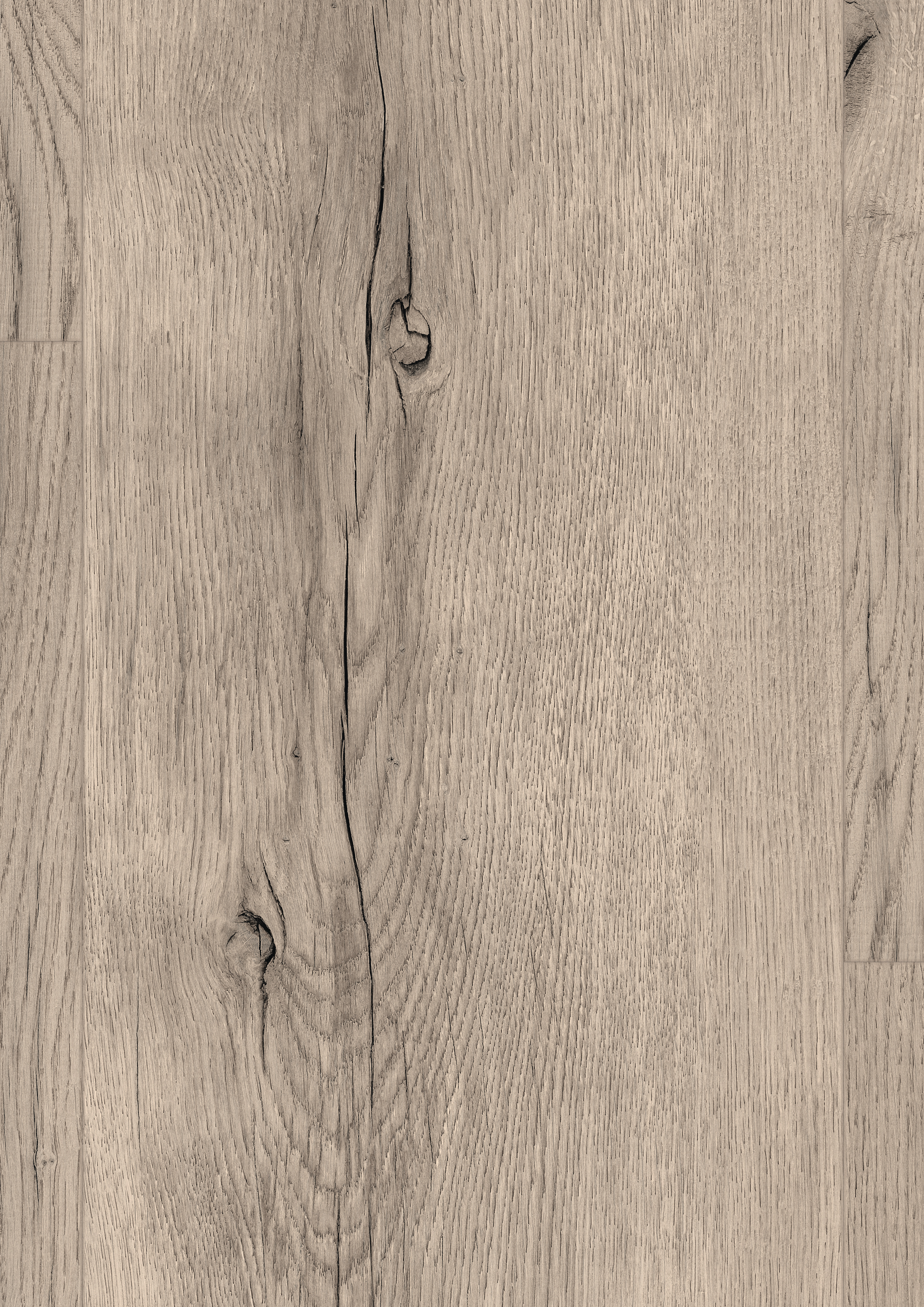 EDF206_STD8_large_wv4_detail_10DE_flo