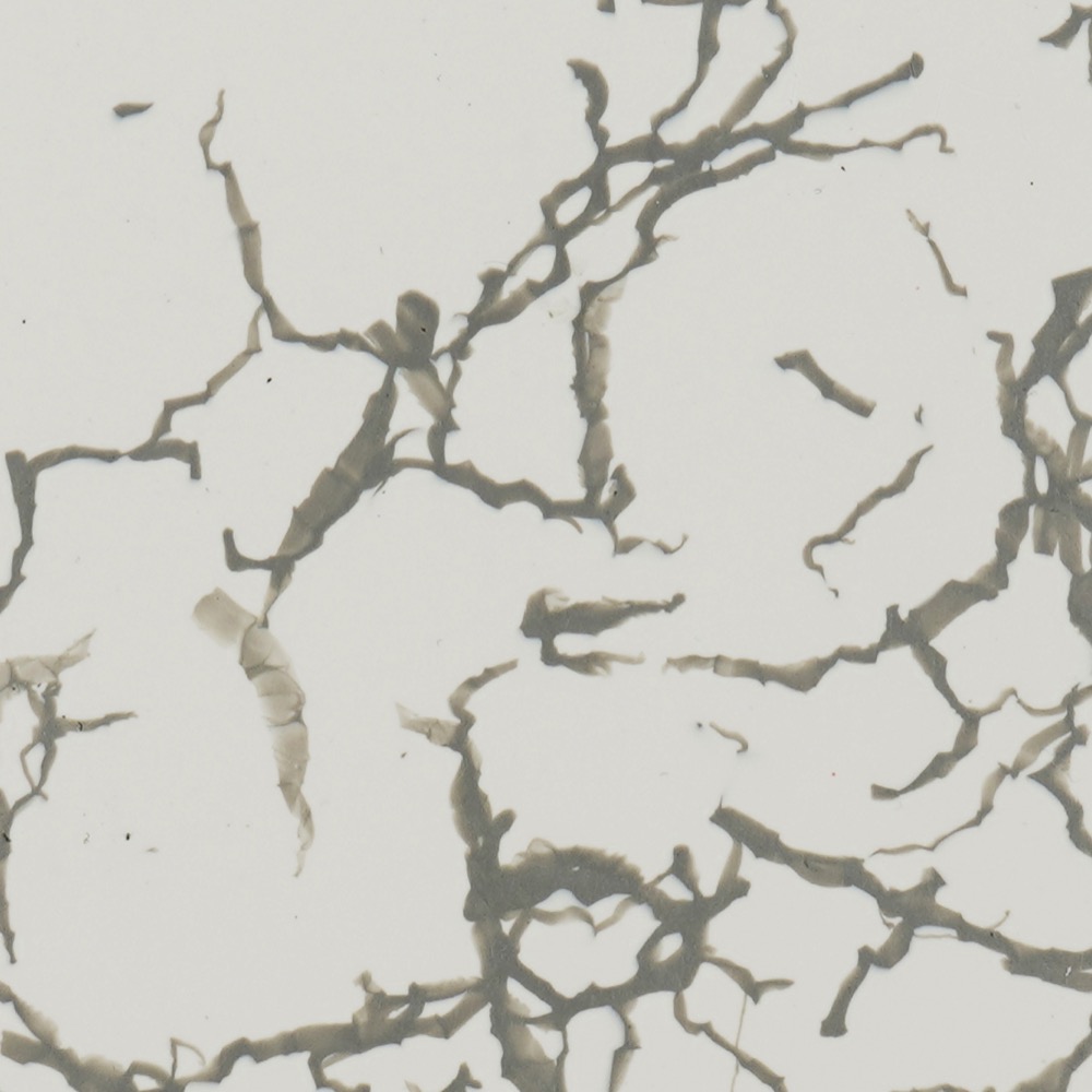 PS2404-Sea-Foam-Grey