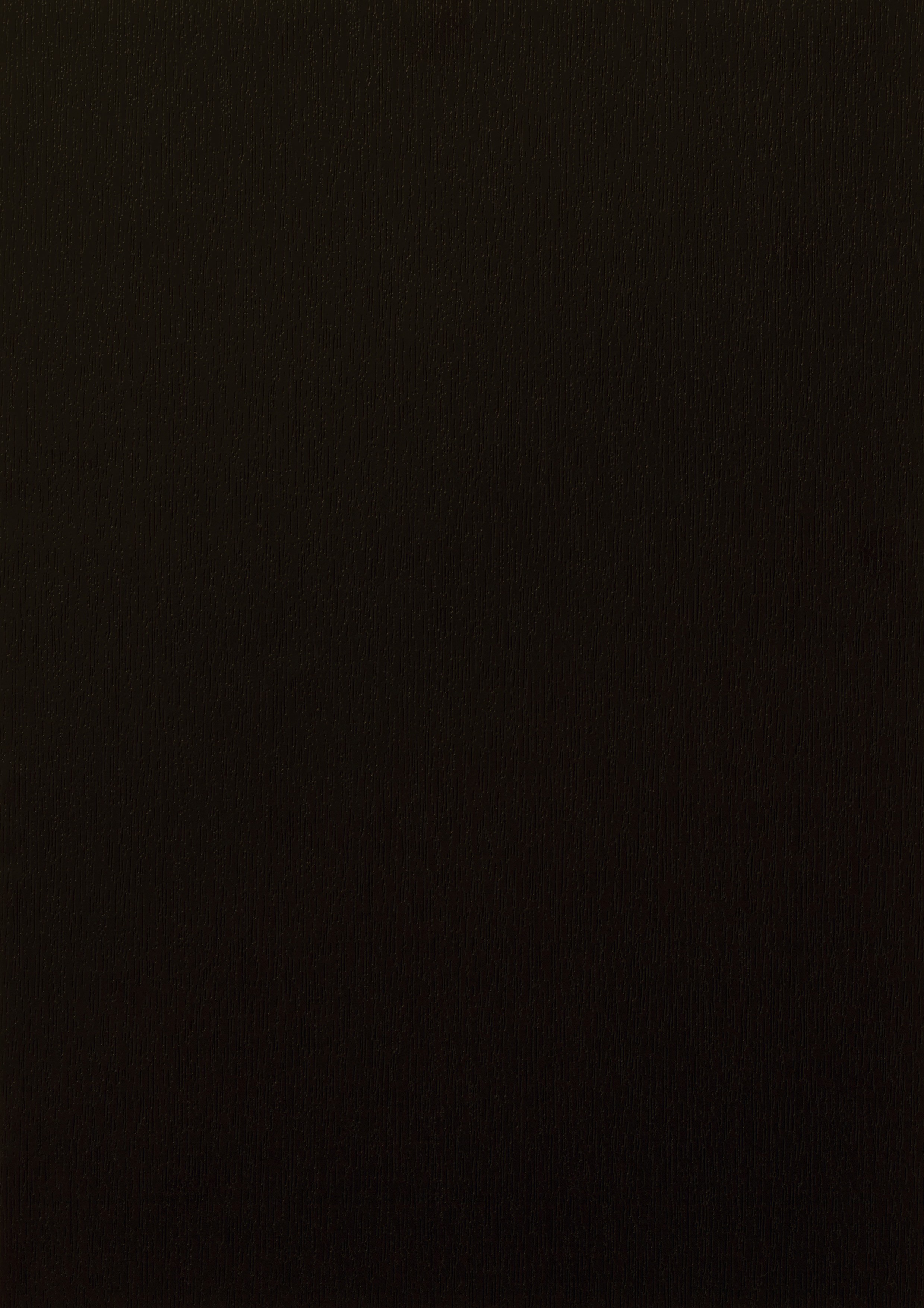 Brun Noir RAL 8022 (Veiné)