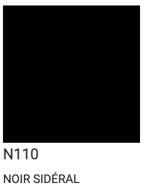 N110 Noir Sidéral