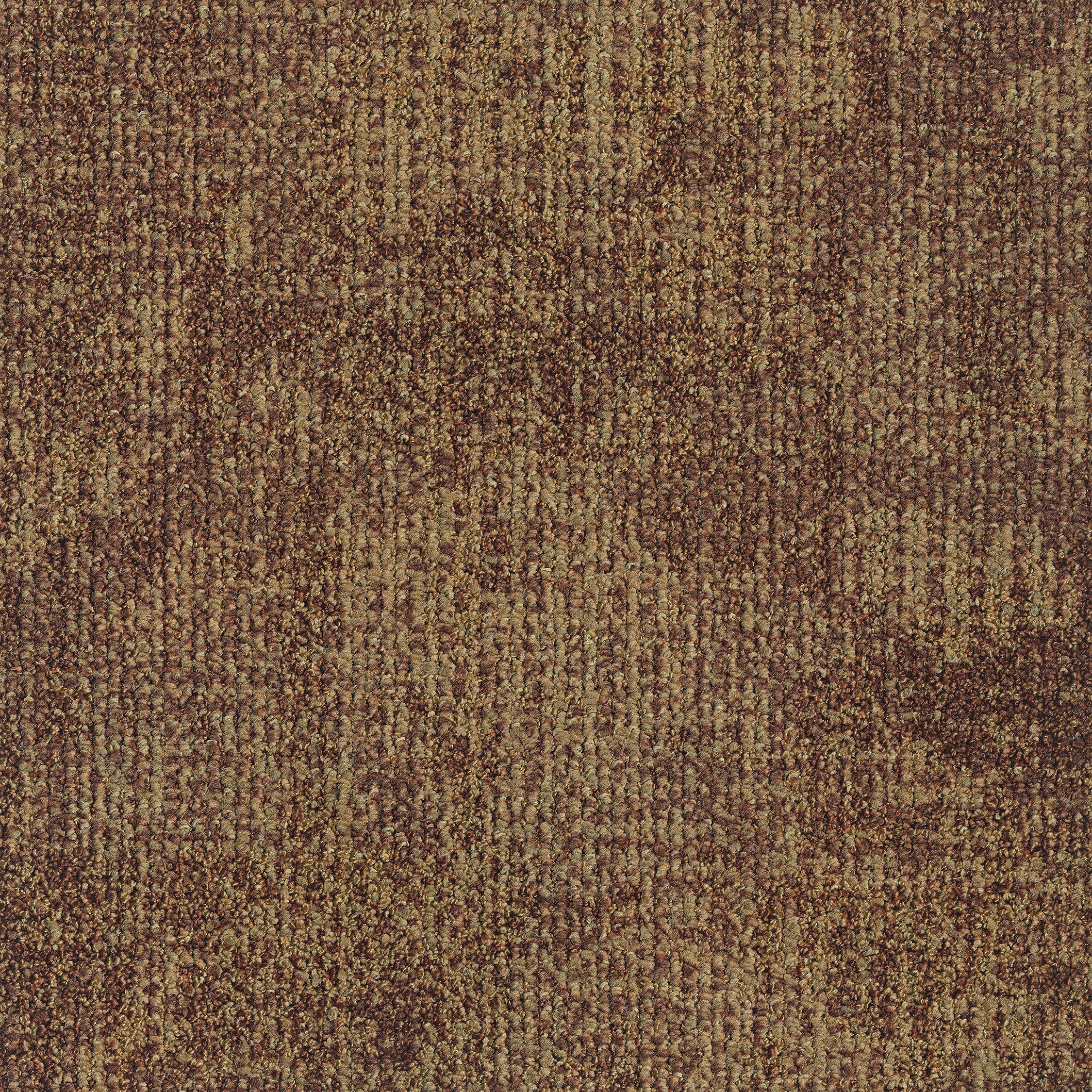 0865042 - Leaf Golden 5595