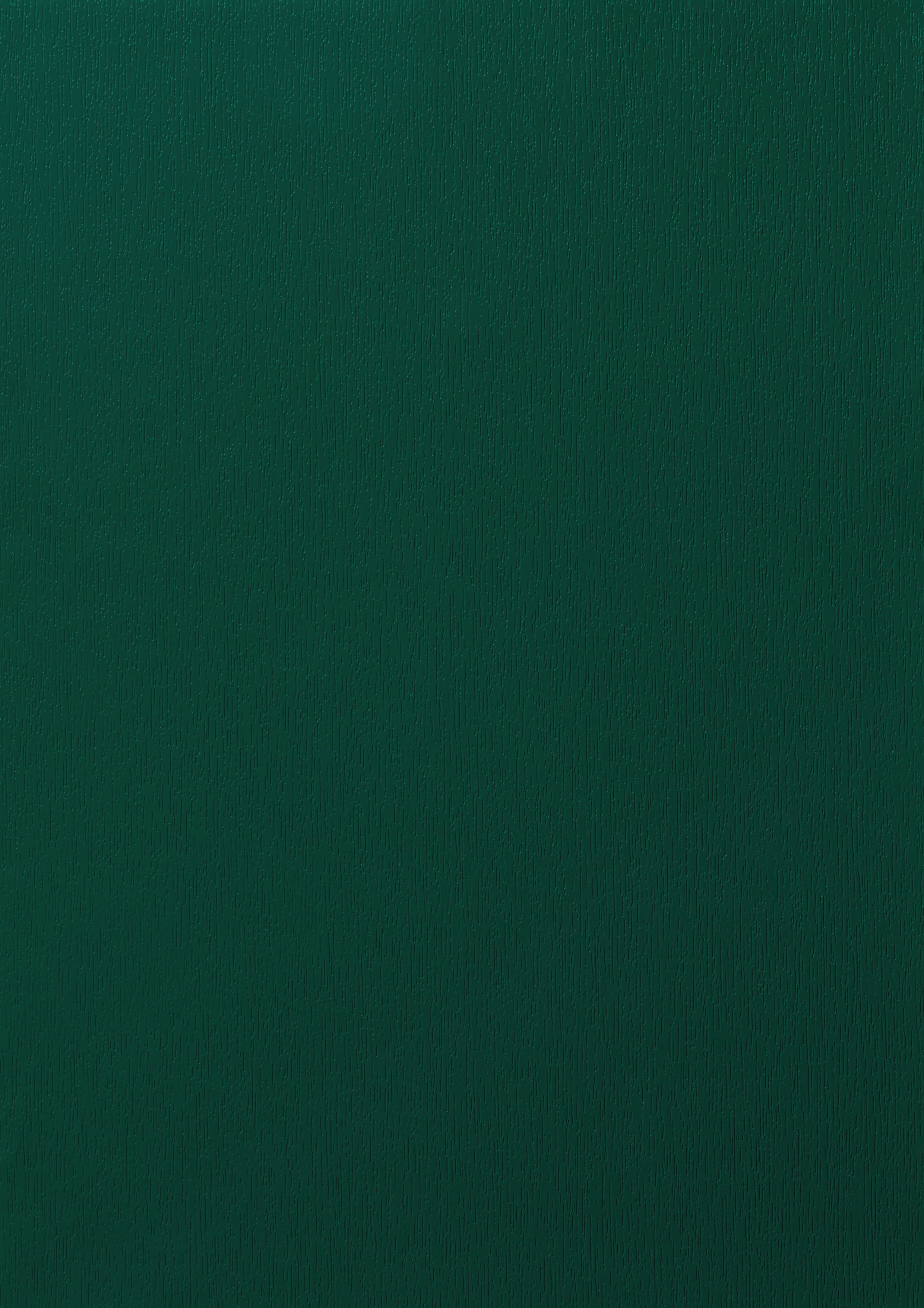 Vert Mousse veiné (RAL 6005)