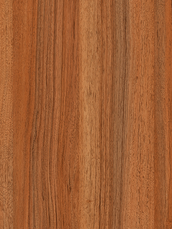 798 teak noce biondo